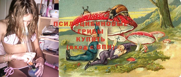 марки nbome Белокуриха