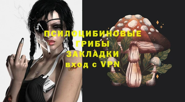 марки nbome Белокуриха