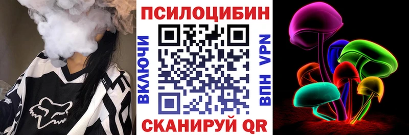 Псилоцибиновые грибы Psilocybine cubensis  Лабинск 